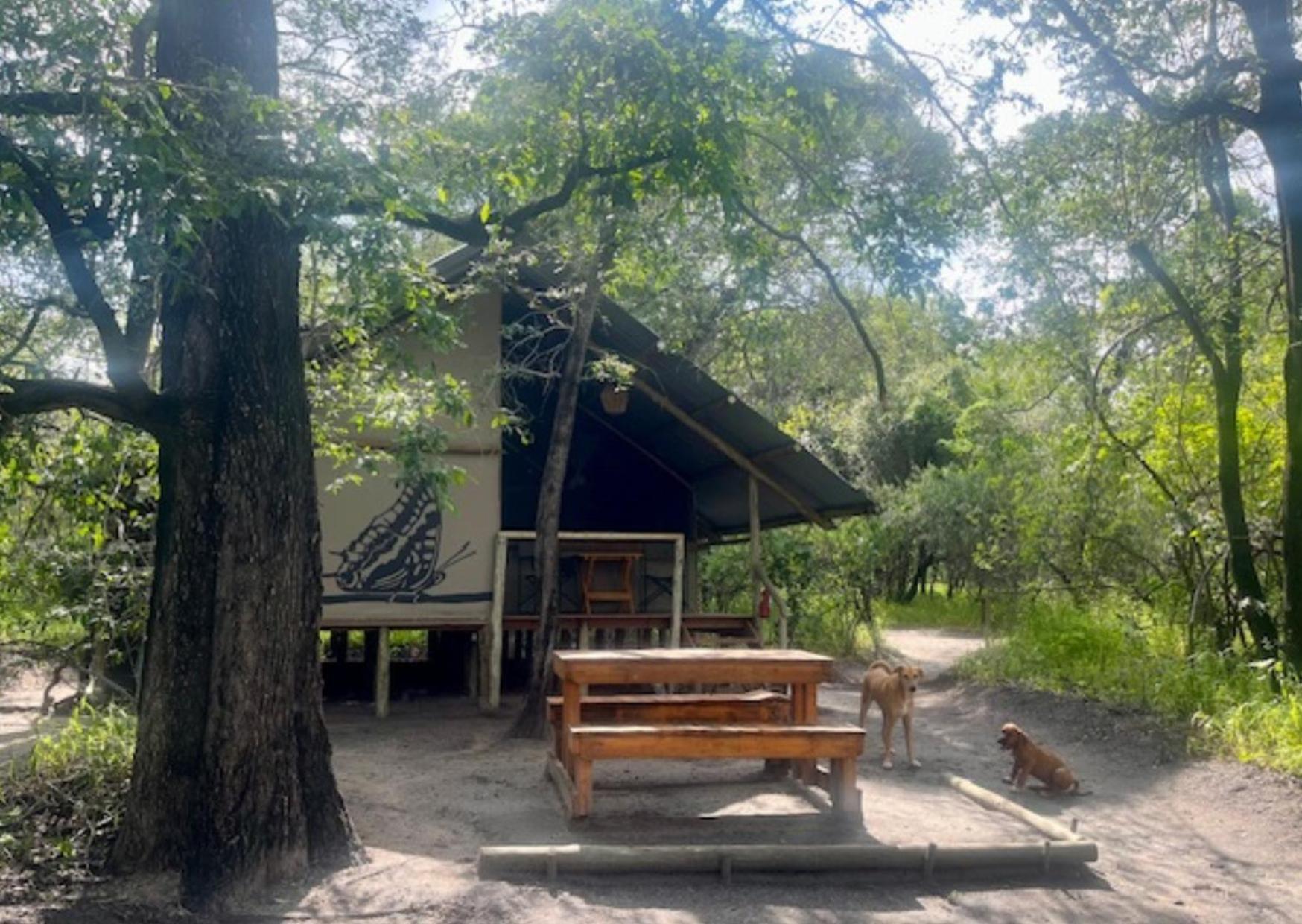 Phazama Farm Villa Maun Exterior foto